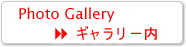 �t�H�g�M�������[�i�X���j��