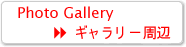 �t�H�g�M�������[�i���Ӂj��